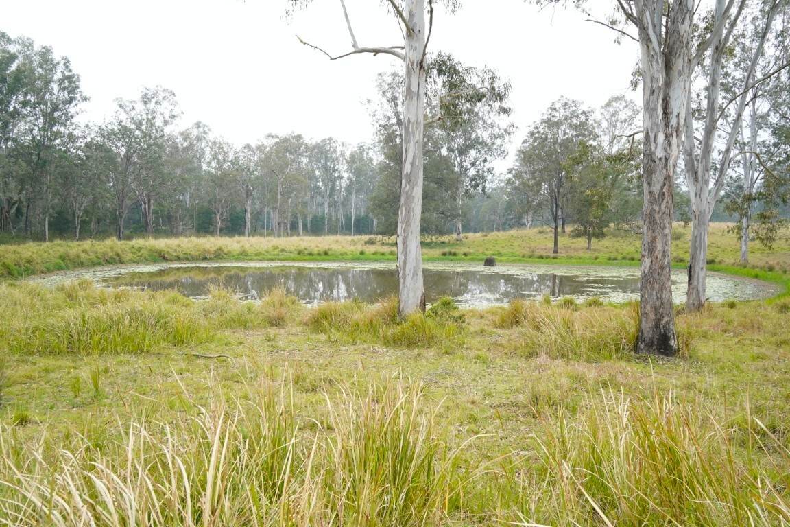 70 Bairds Road, Bonalbo For Sale by Farmbuy.com - image 8