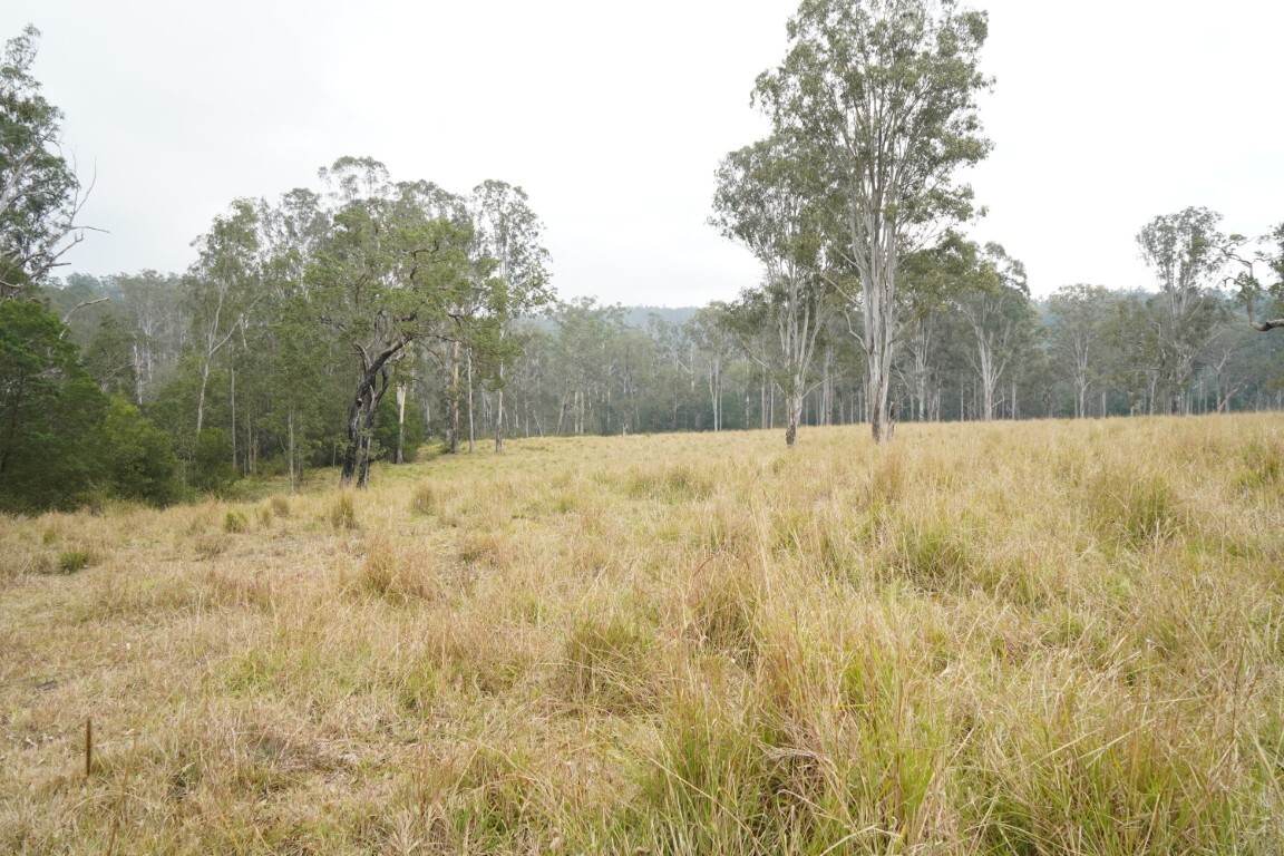 70 Bairds Road, Bonalbo For Sale by Farmbuy.com - image 19