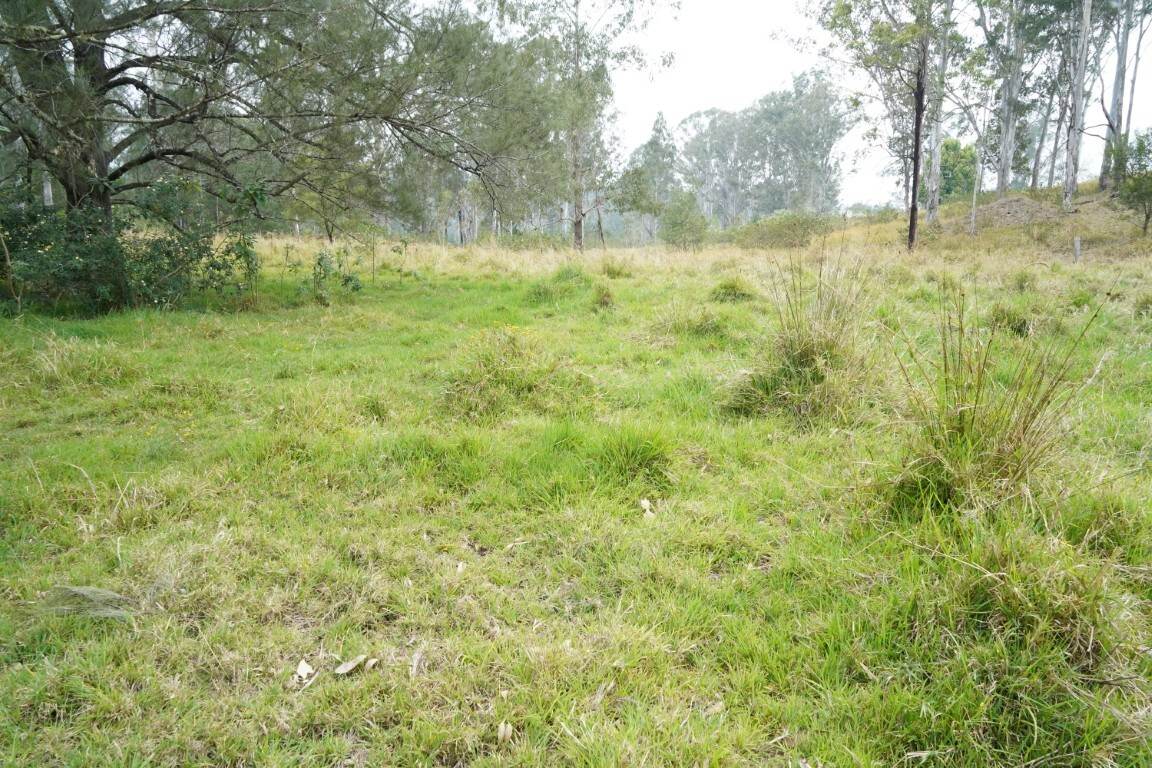 70 Bairds Road, Bonalbo For Sale by Farmbuy.com - image 3