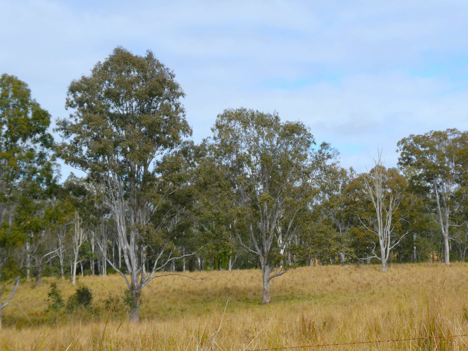 70 Bairds Road, Bonalbo For Sale by Farmbuy.com - image 24