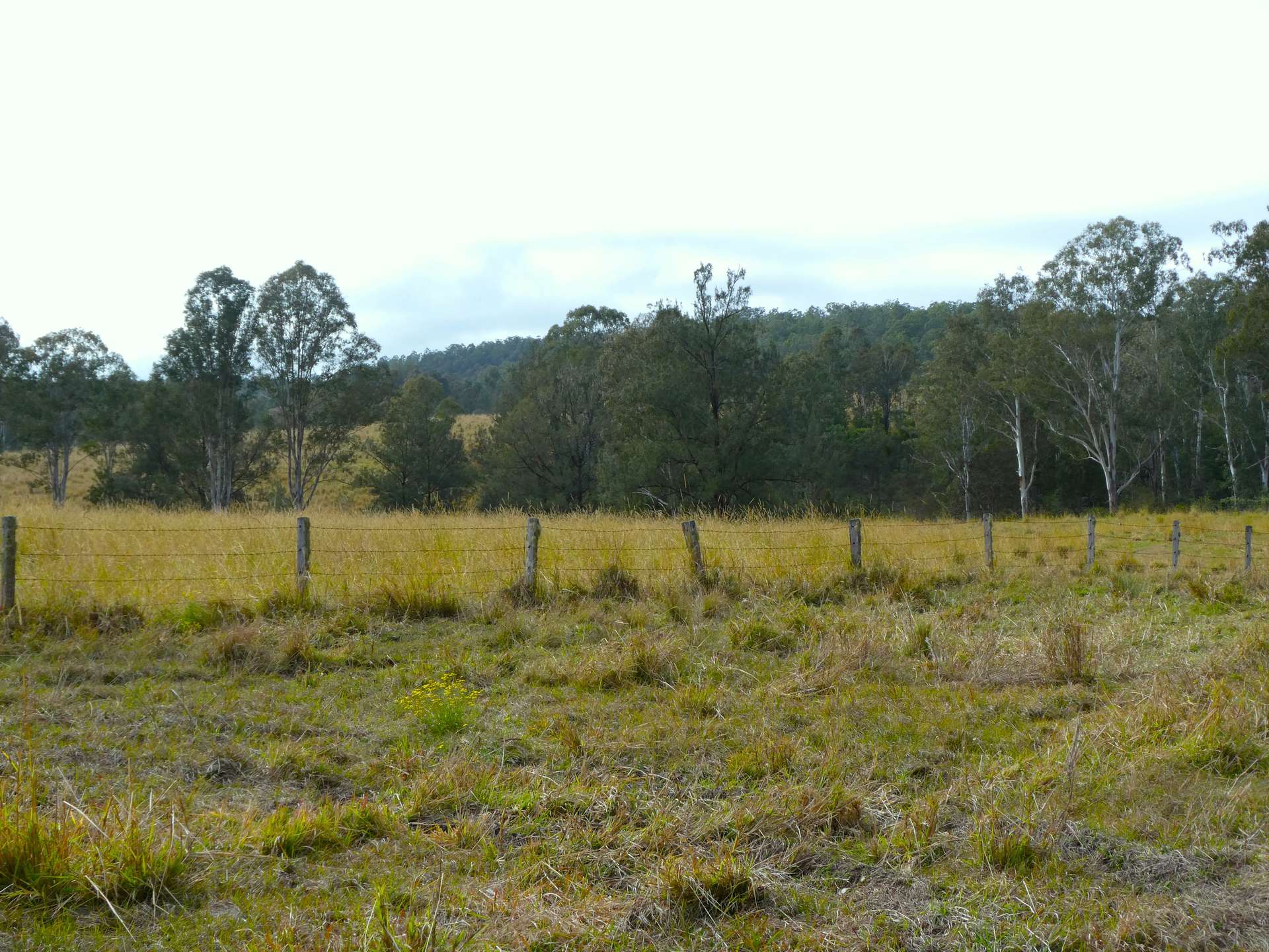 70 Bairds Road, Bonalbo For Sale by Farmbuy.com - image 23