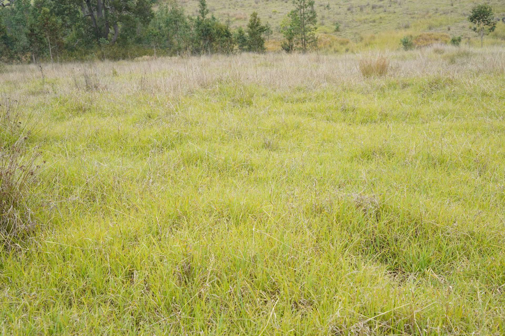 70 Bairds Road, Bonalbo For Sale by Farmbuy.com - image 5