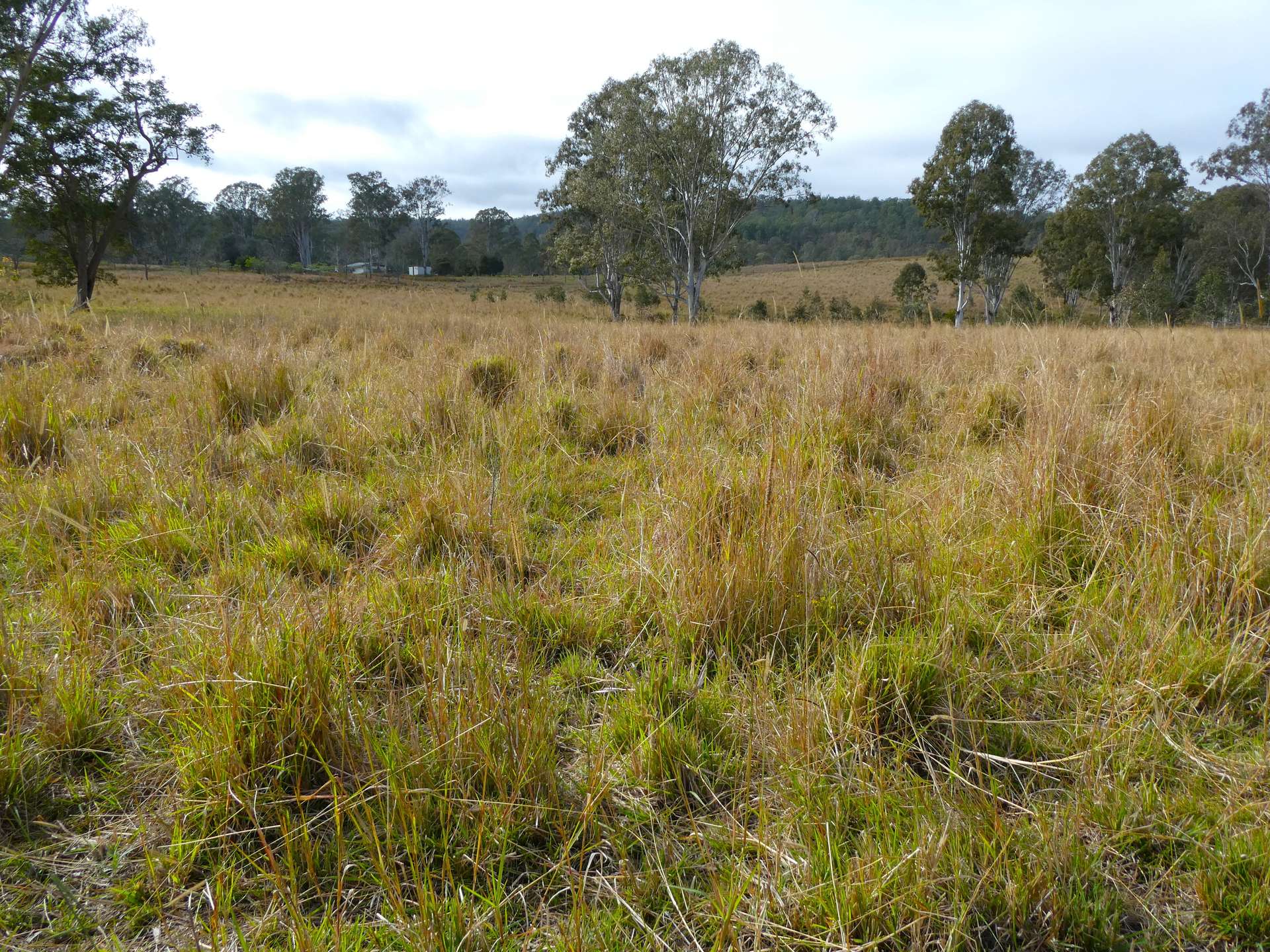 70 Bairds Road, Bonalbo For Sale by Farmbuy.com - image 1