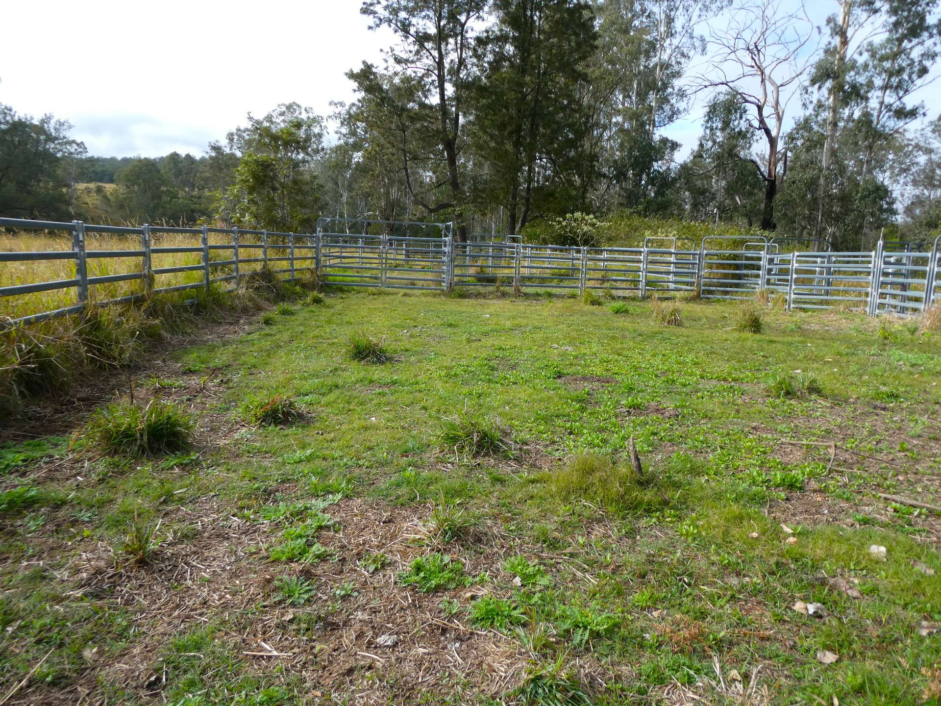 70 Bairds Road, Bonalbo For Sale by Farmbuy.com - image 15