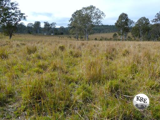 Farm For Sale - NSW - Bonalbo - 2469 - Premium Rural Holding with Scale, Water and Potential 
