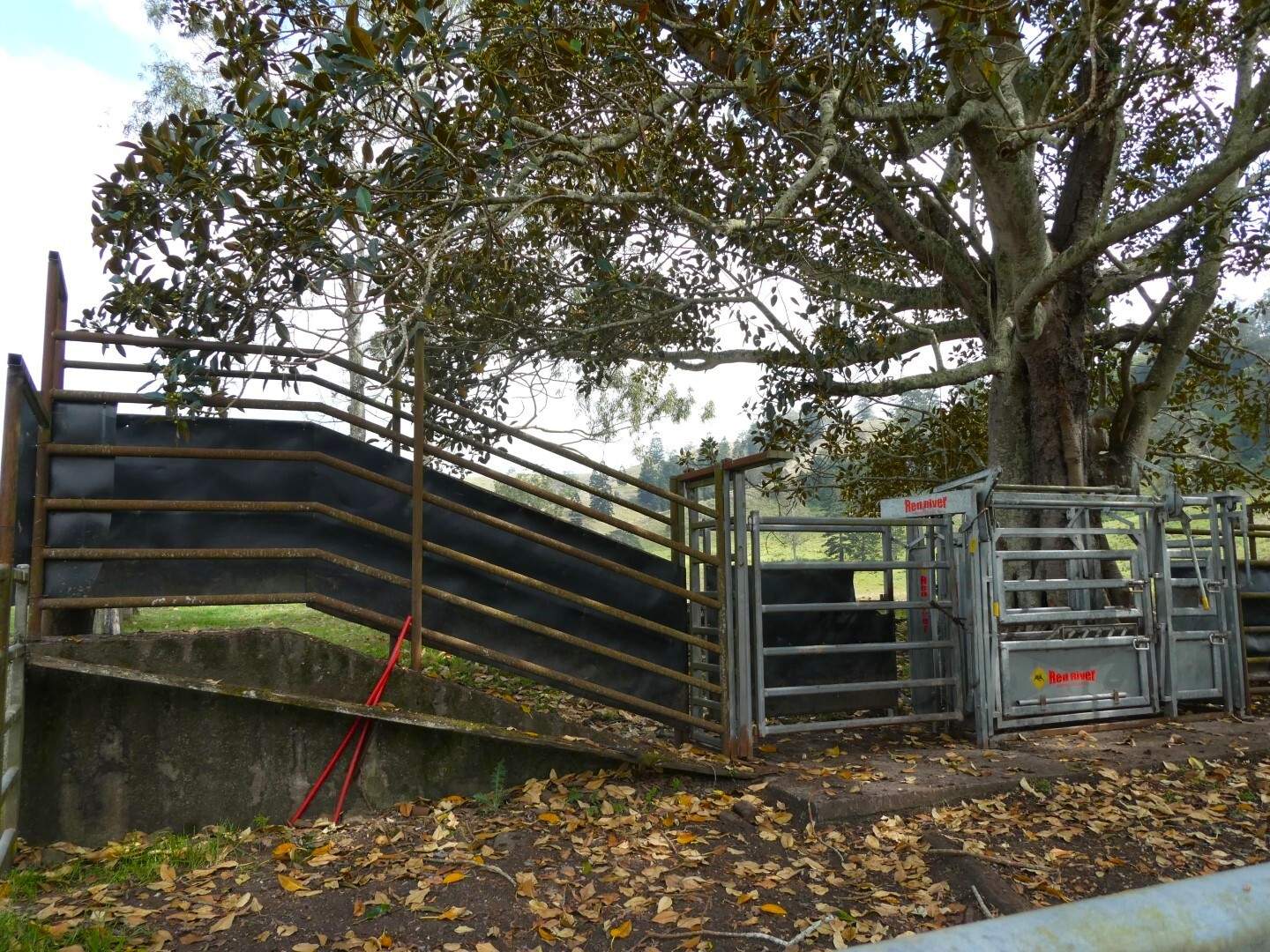403 Wyndham Road, Kyogle For Sale by Farmbuy.com - image 14
