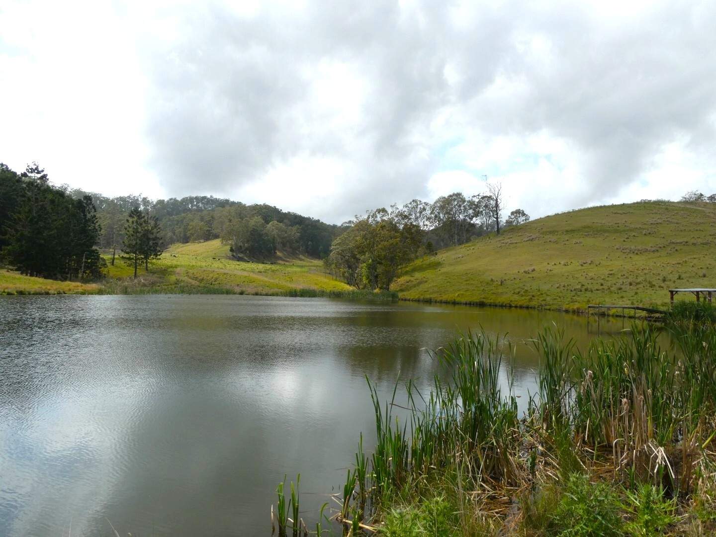 403 Wyndham Road, Kyogle For Sale by Farmbuy.com - image 20