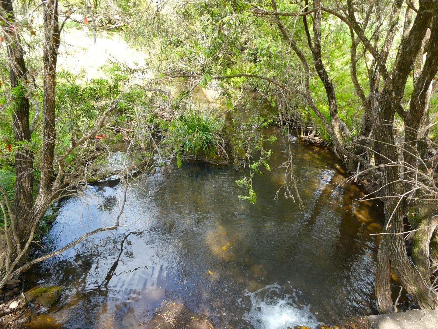 403 Wyndham Road, Kyogle For Sale by Farmbuy.com - image 21