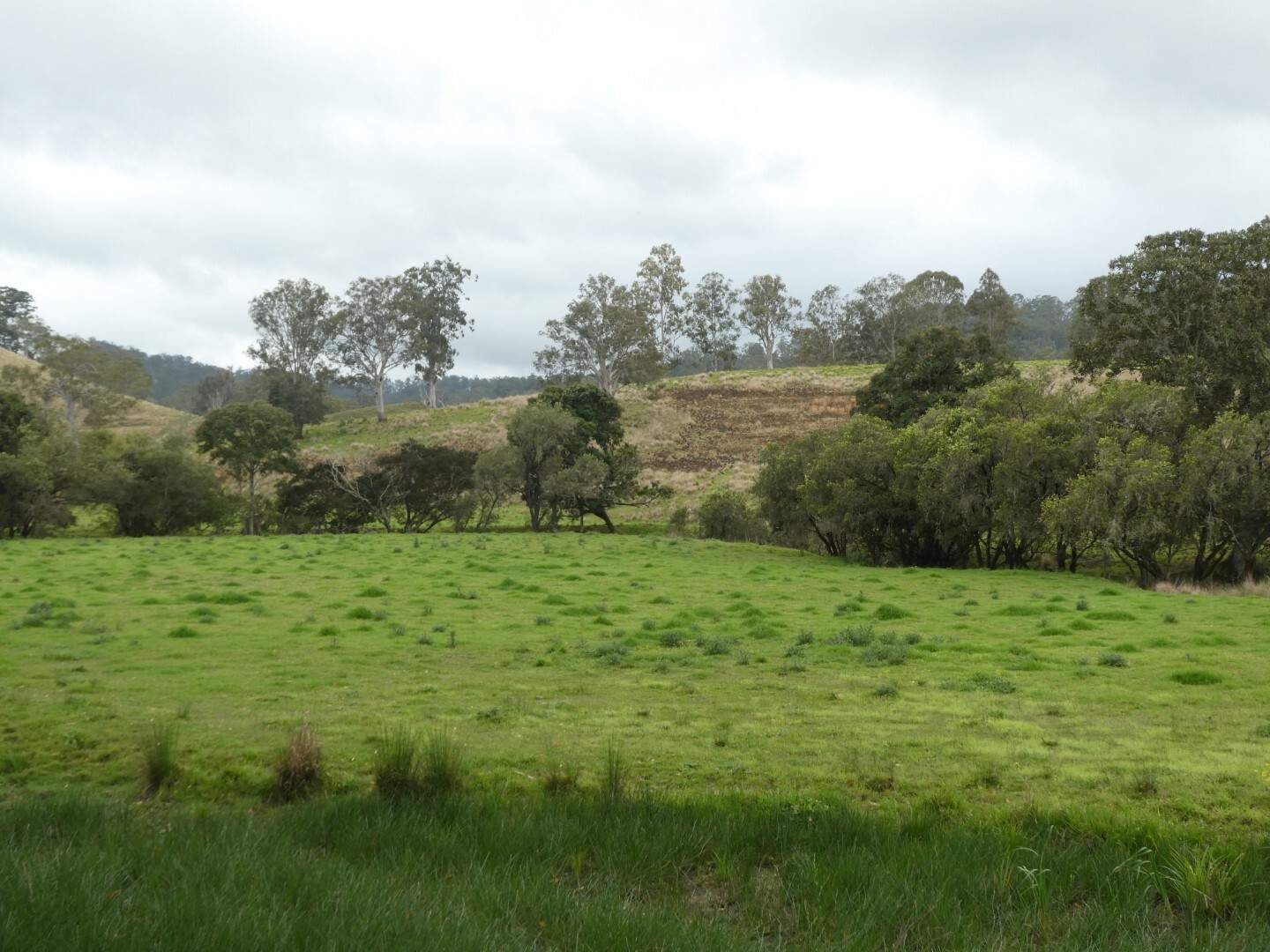 403 Wyndham Road, Kyogle For Sale by Farmbuy.com - image 26
