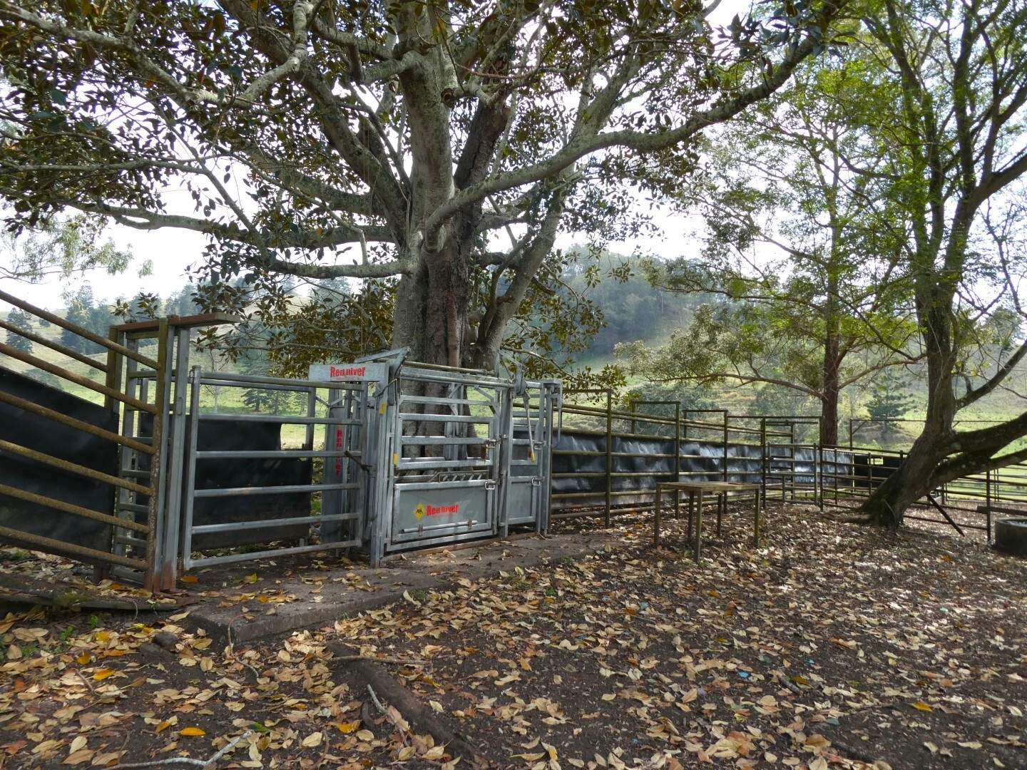 403 Wyndham Road, Kyogle For Sale by Farmbuy.com - image 15