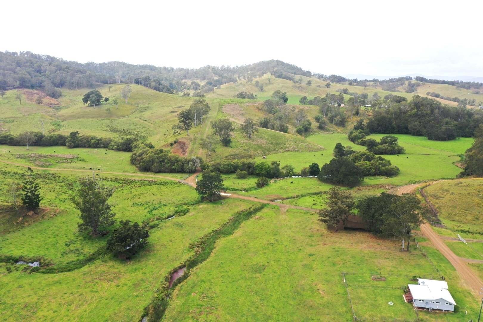 403 Wyndham Road, Kyogle For Sale by Farmbuy.com - image 3