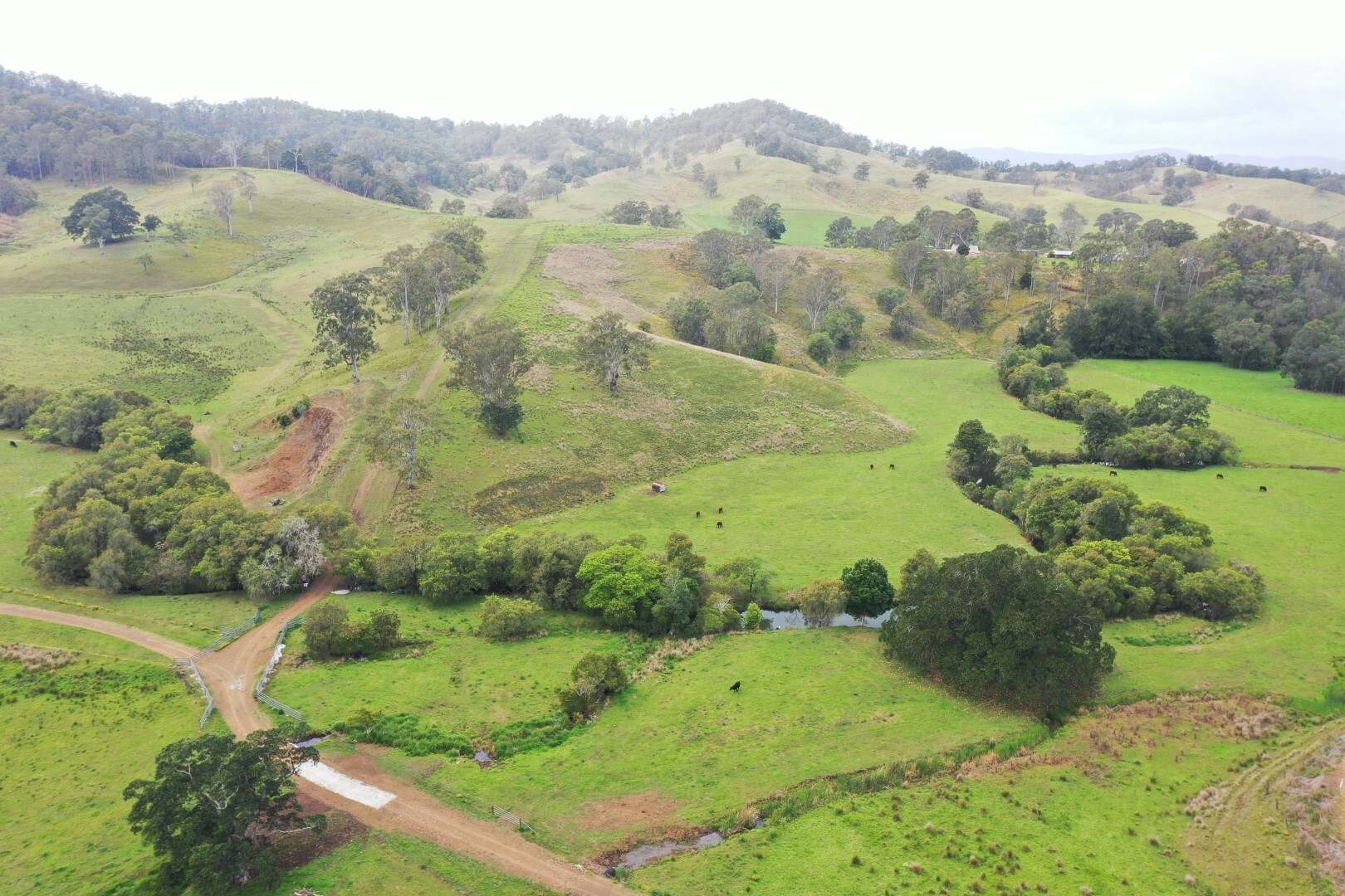 403 Wyndham Road, Kyogle For Sale by Farmbuy.com - image 5