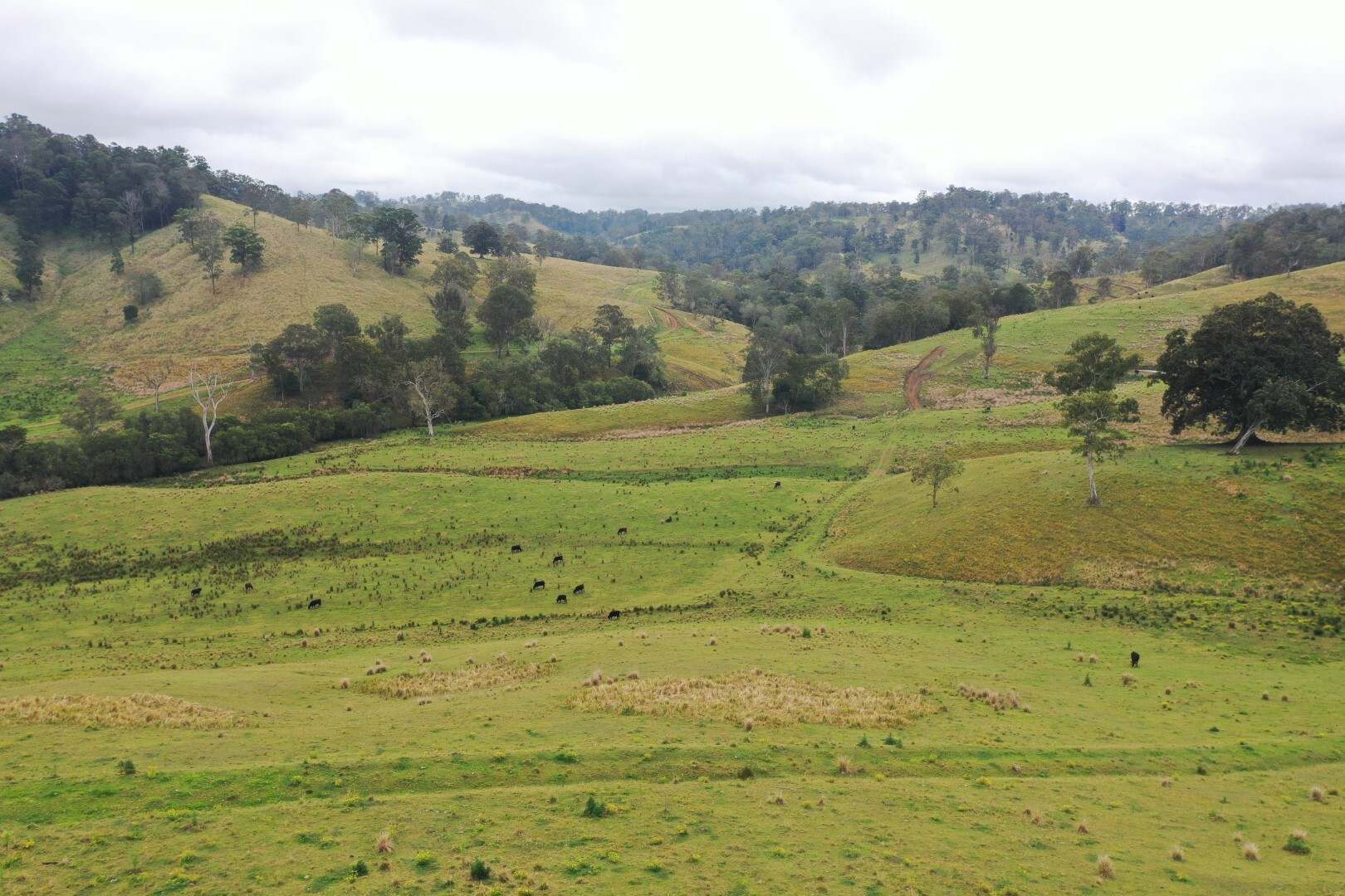 403 Wyndham Road, Kyogle For Sale by Farmbuy.com - image 25