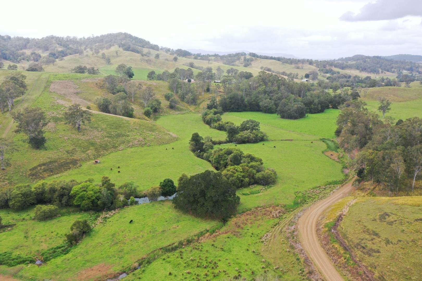 403 Wyndham Road, Kyogle For Sale by Farmbuy.com - image 4
