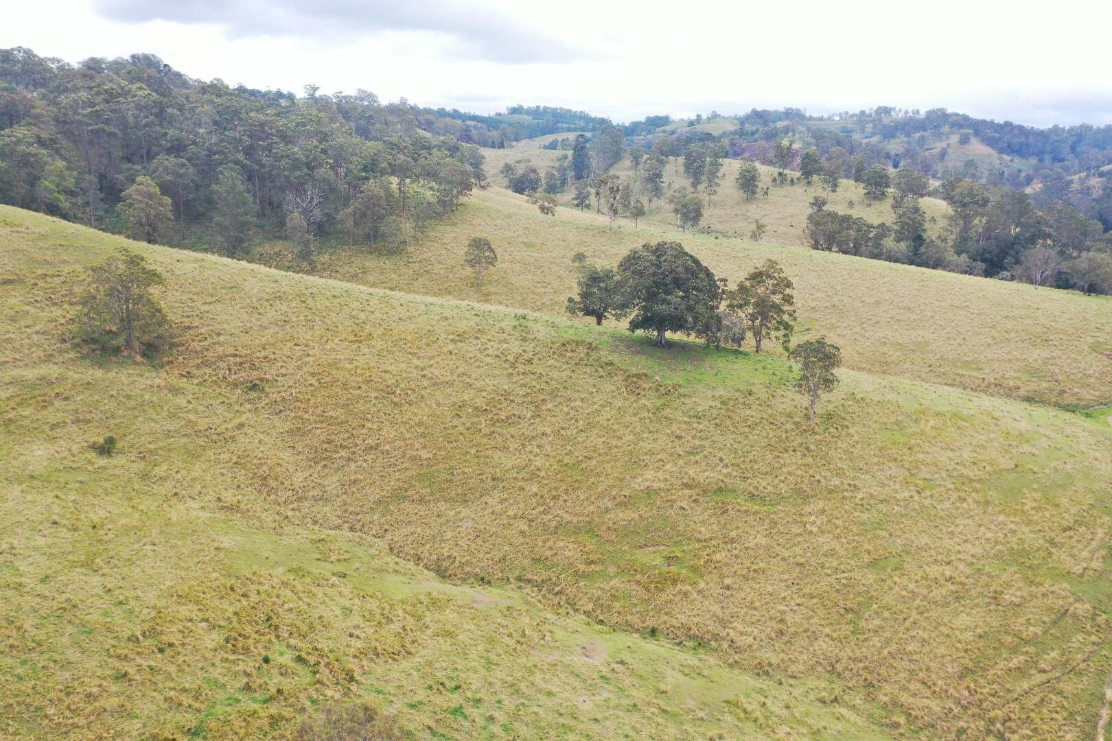403 Wyndham Road, Kyogle For Sale by Farmbuy.com - image 24