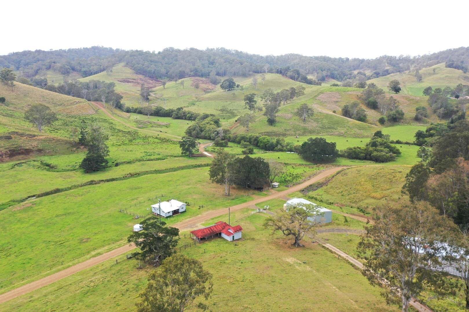 403 Wyndham Road, Kyogle For Sale by Farmbuy.com - image 1