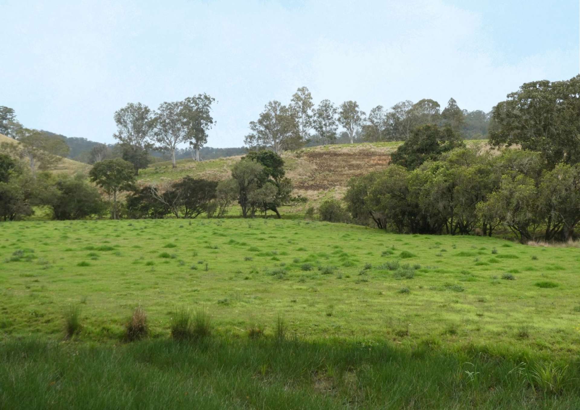 403 Wyndham Road, Kyogle For Sale by Farmbuy.com - image 23
