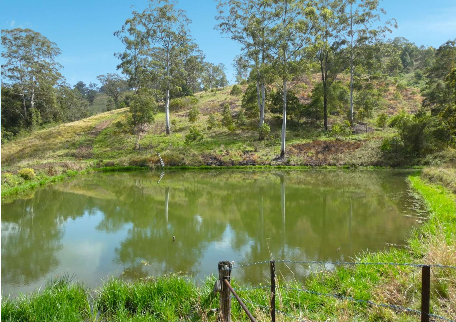 403 Wyndham Road, Kyogle For Sale by Farmbuy.com - image 19