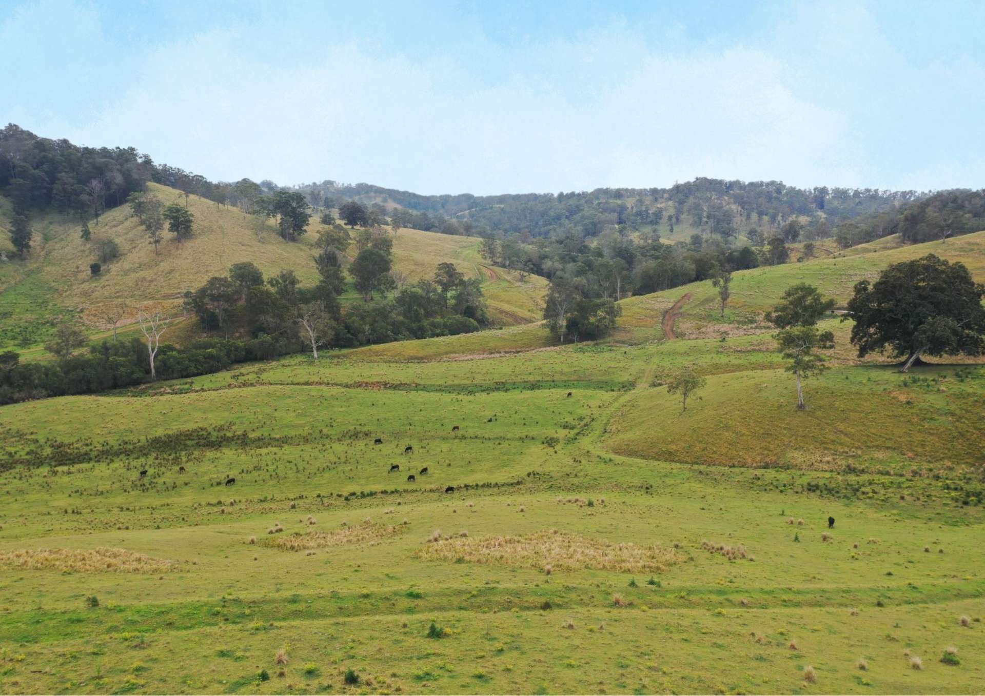 403 Wyndham Road, Kyogle For Sale by Farmbuy.com - image 22