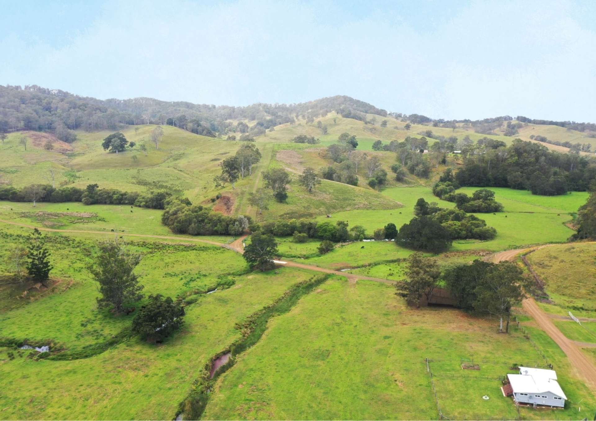 403 Wyndham Road, Kyogle For Sale by Farmbuy.com - image 3