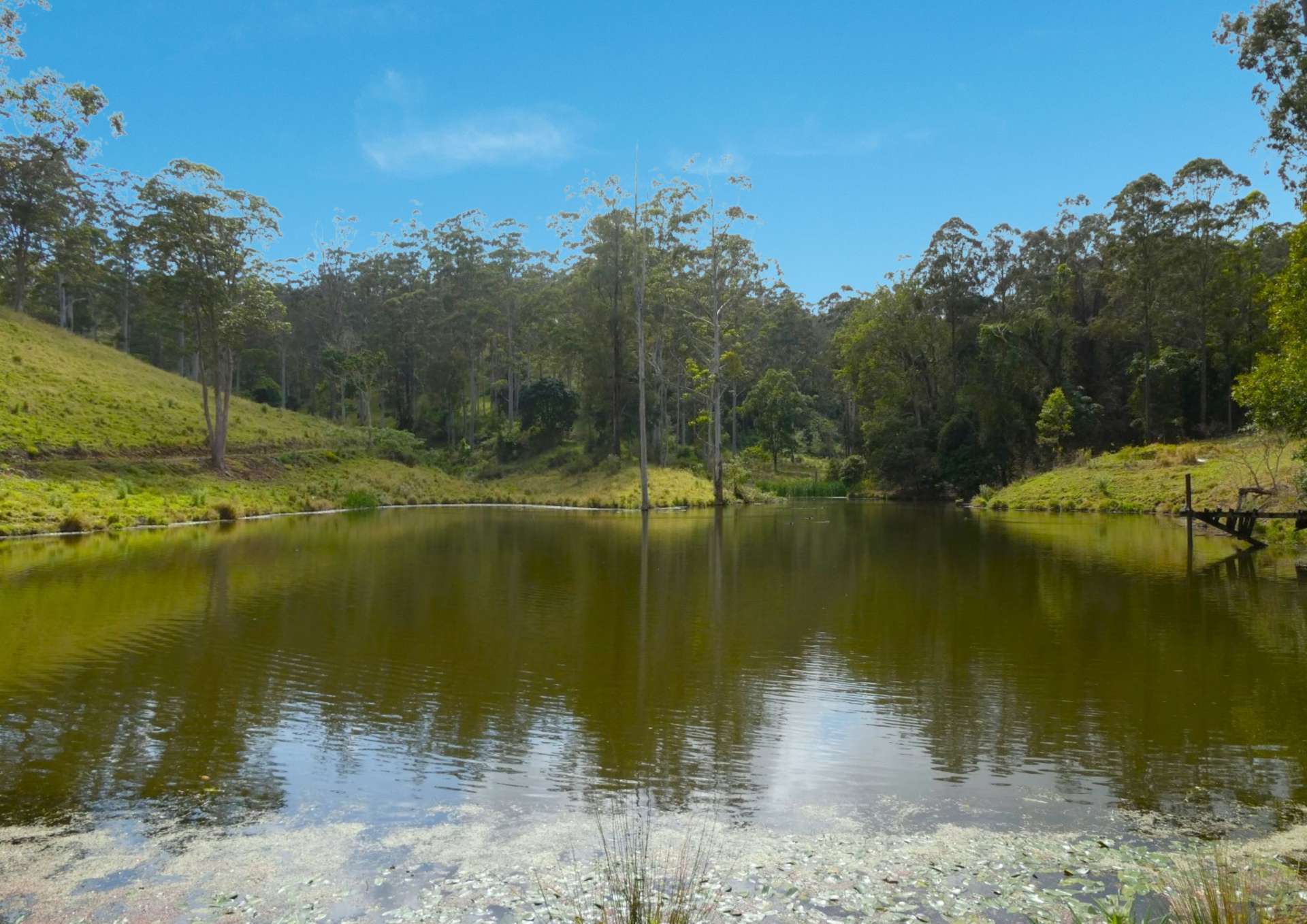 403 Wyndham Road, Kyogle For Sale by Farmbuy.com - image 18