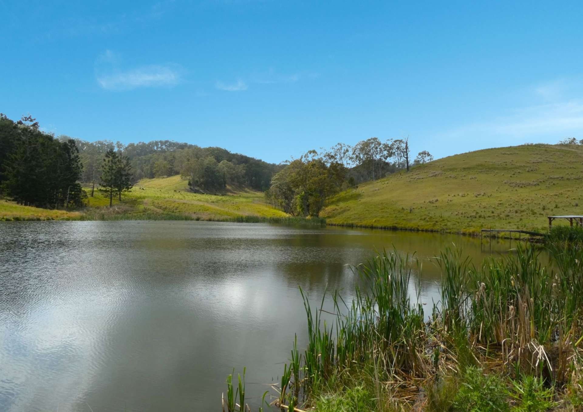 403 Wyndham Road, Kyogle For Sale by Farmbuy.com - image 17