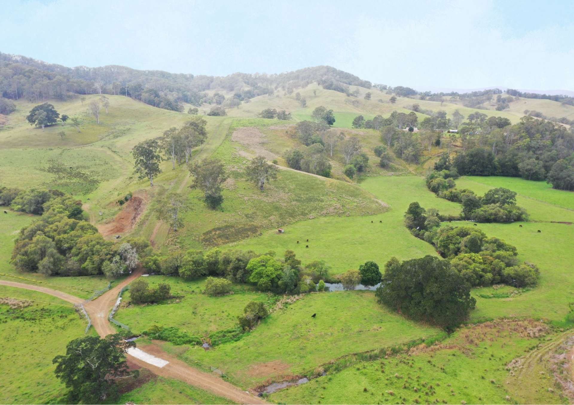 403 Wyndham Road, Kyogle For Sale by Farmbuy.com - image 5