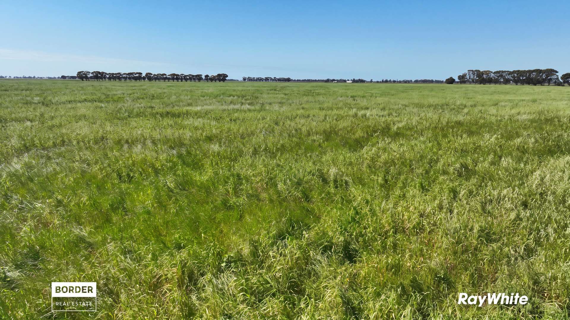 322 Haw Road, Terrick Terrick East For Sale by Farmbuy.com - image 14