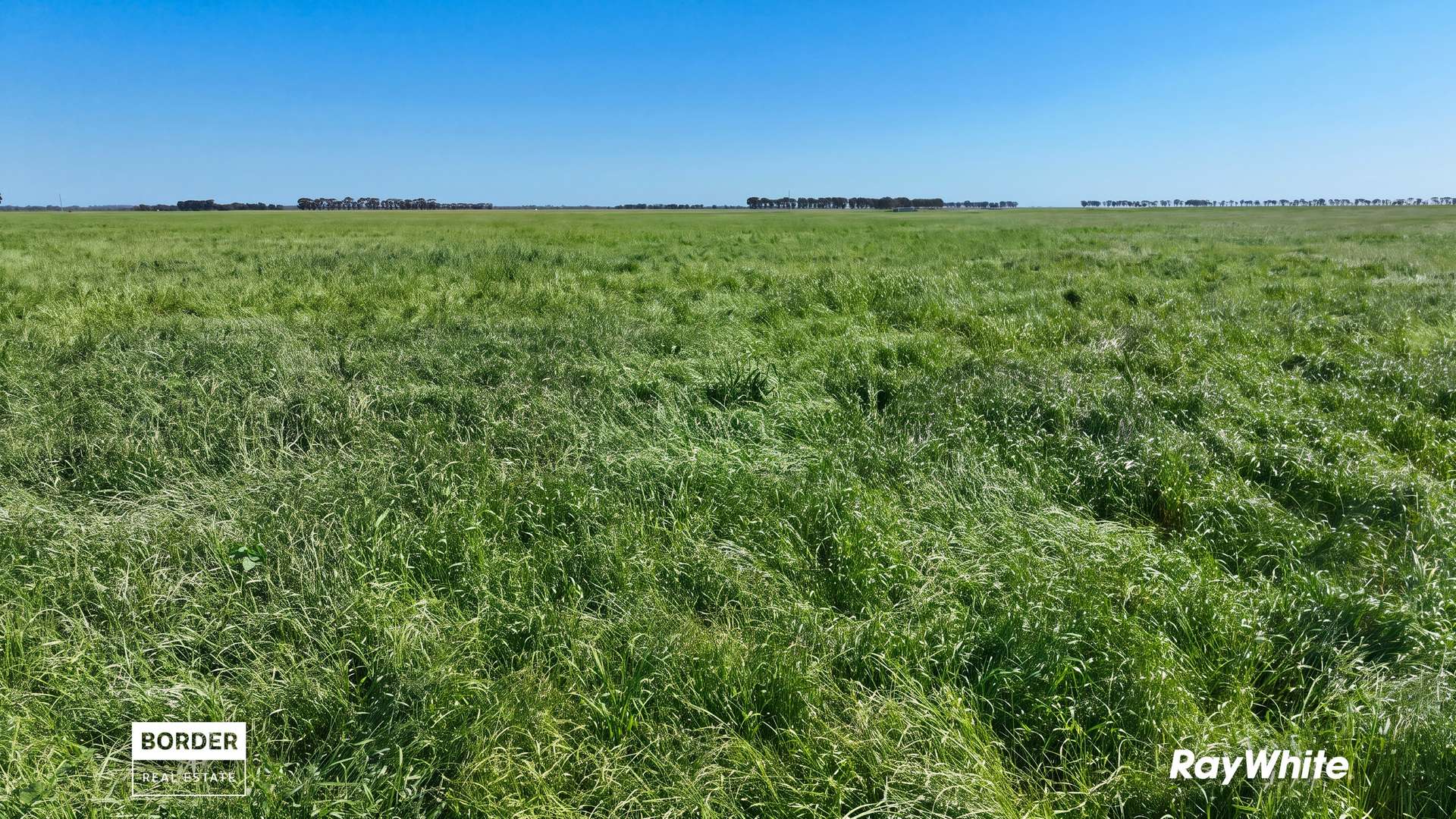 322 Haw Road, Terrick Terrick East For Sale by Farmbuy.com - image 11