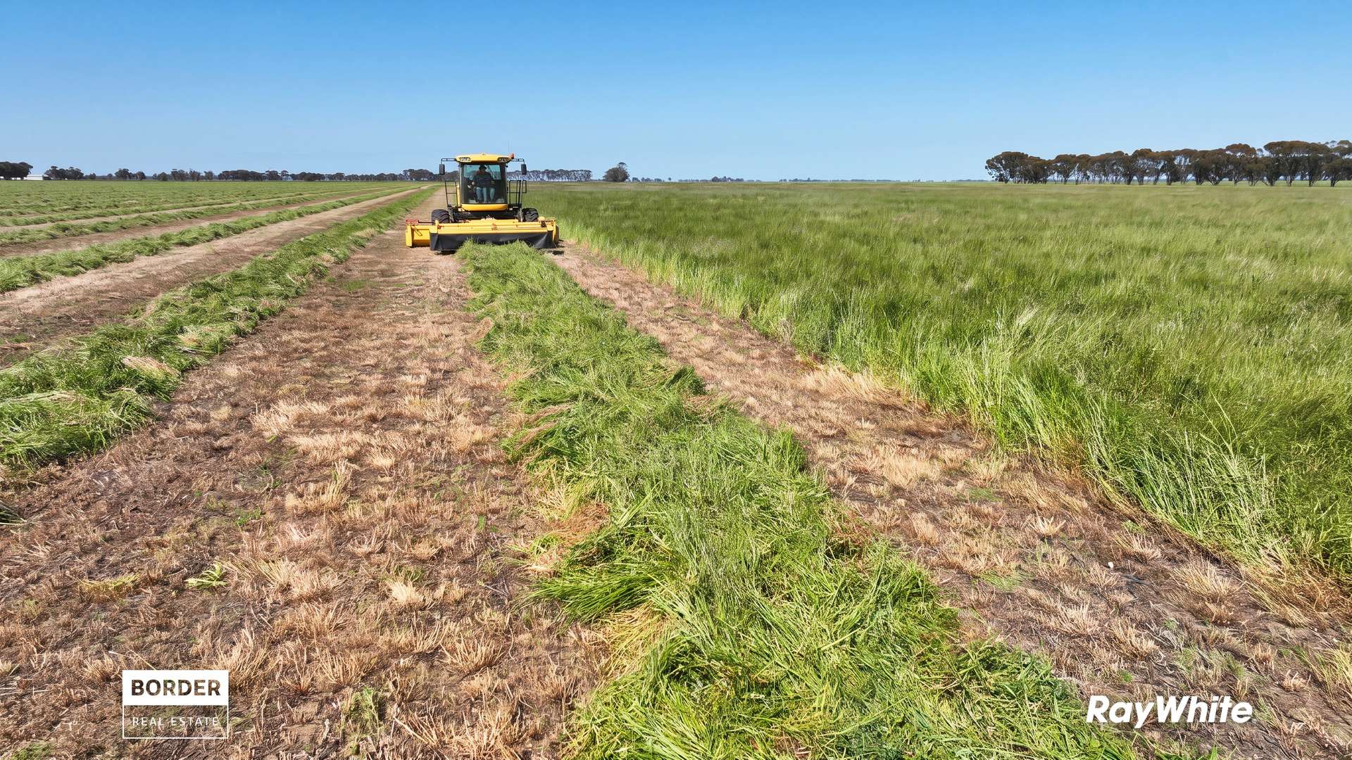322 Haw Road, Terrick Terrick East For Sale by Farmbuy.com - image 3
