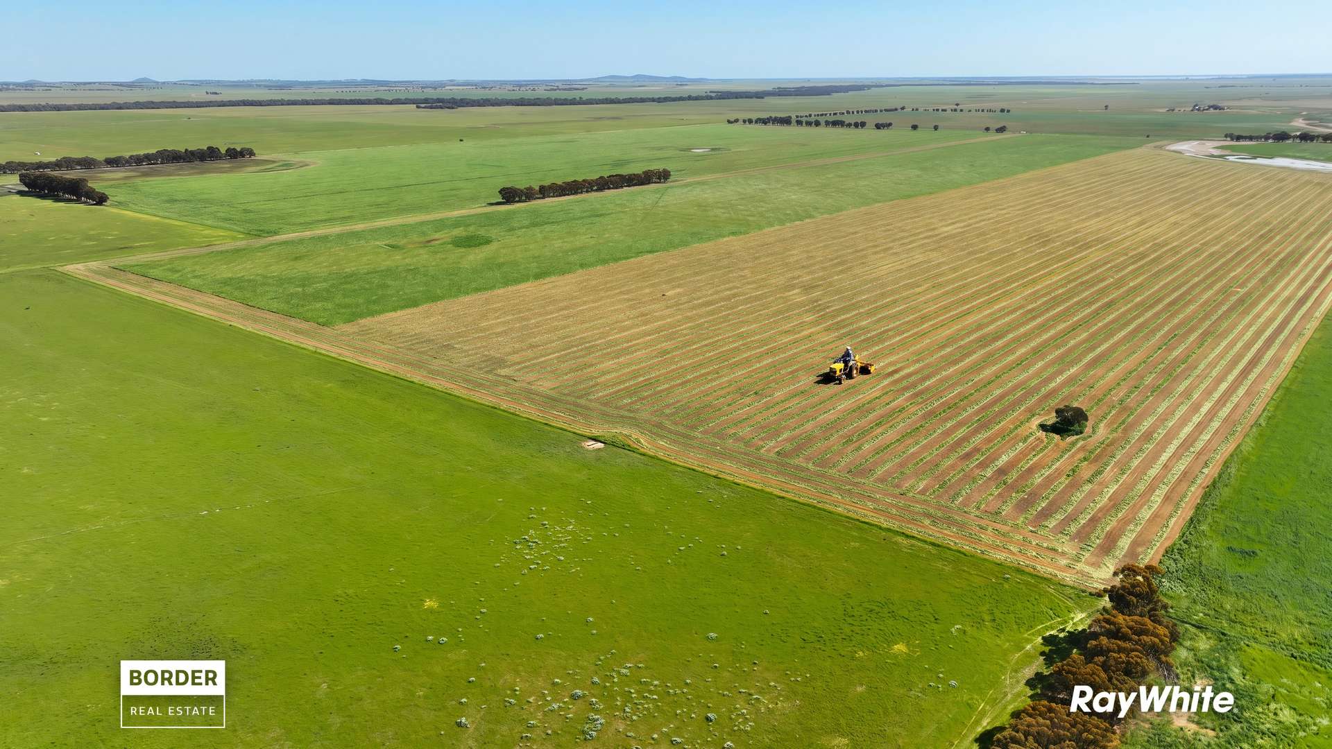 322 Haw Road, Terrick Terrick East For Sale by Farmbuy.com - image 4