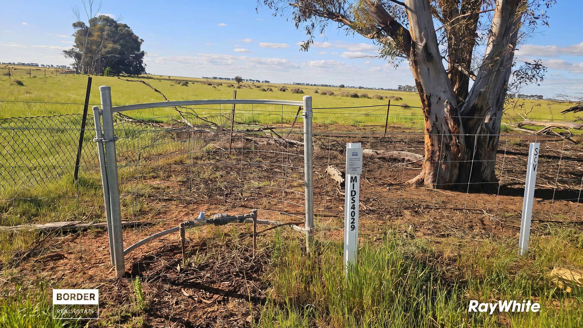 322 Haw Road, Terrick Terrick East For Sale by Farmbuy.com - image 5