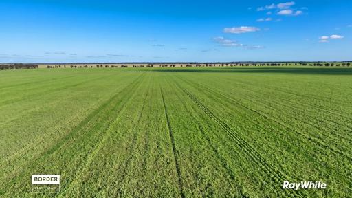 Farm For Sale - VIC - Terrick Terrick East - 3573 - Mitiamo Mixed Cropping & Grazing - Haw Aggregation 
