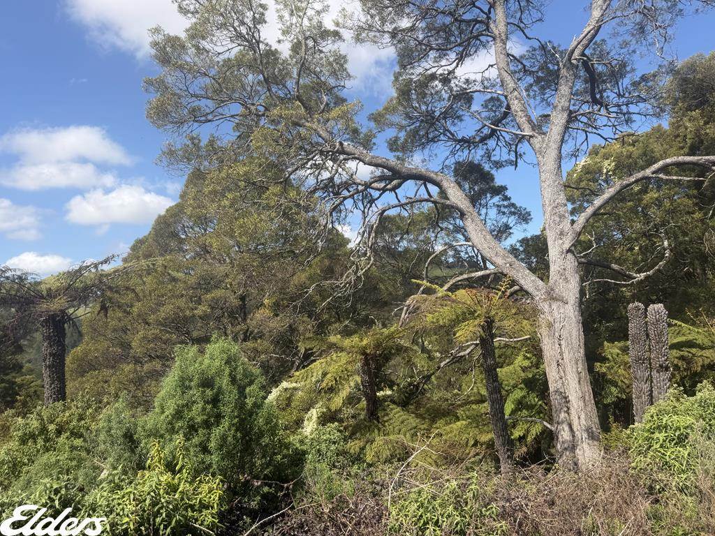 54D Kennedys Road, Madalya For Sale by Farmbuy.com - image 11