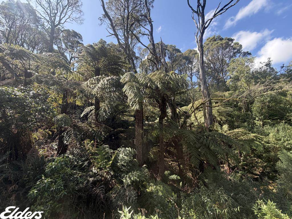 54D Kennedys Road, Madalya For Sale by Farmbuy.com - image 1
