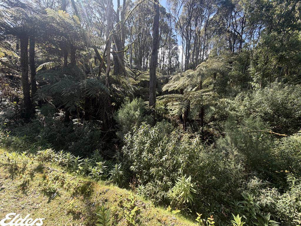 54D Kennedys Road, Madalya For Sale by Farmbuy.com - image 4