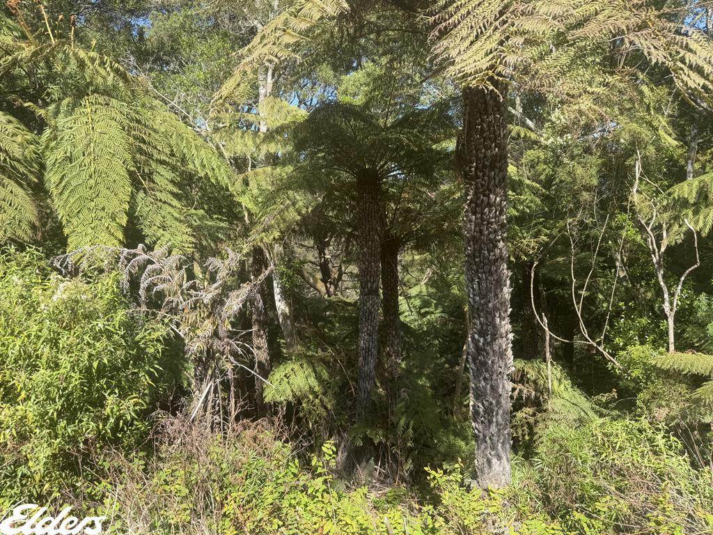 54D Kennedys Road, Madalya For Sale by Farmbuy.com - image 5