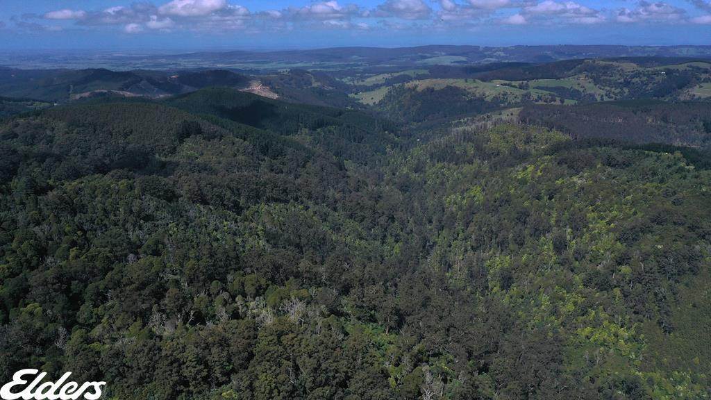 54D Kennedys Road, Madalya For Sale by Farmbuy.com - image 3