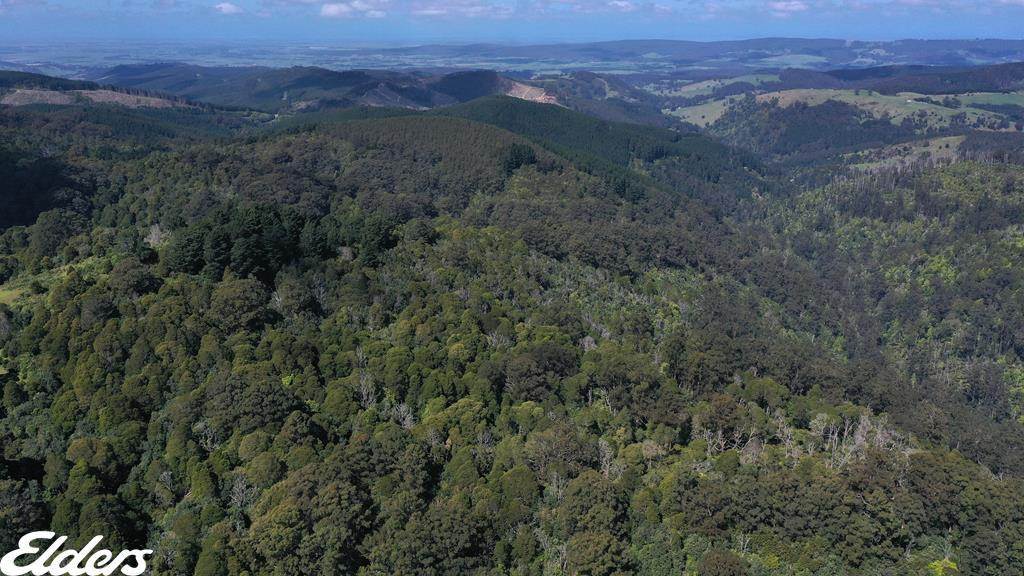 54D Kennedys Road, Madalya For Sale by Farmbuy.com - image 7