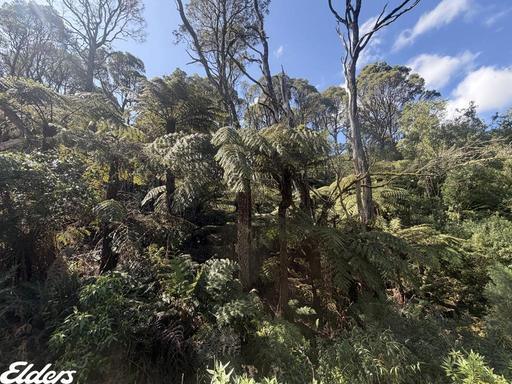 54D Kennedys Road, Madalya VIC 3971
