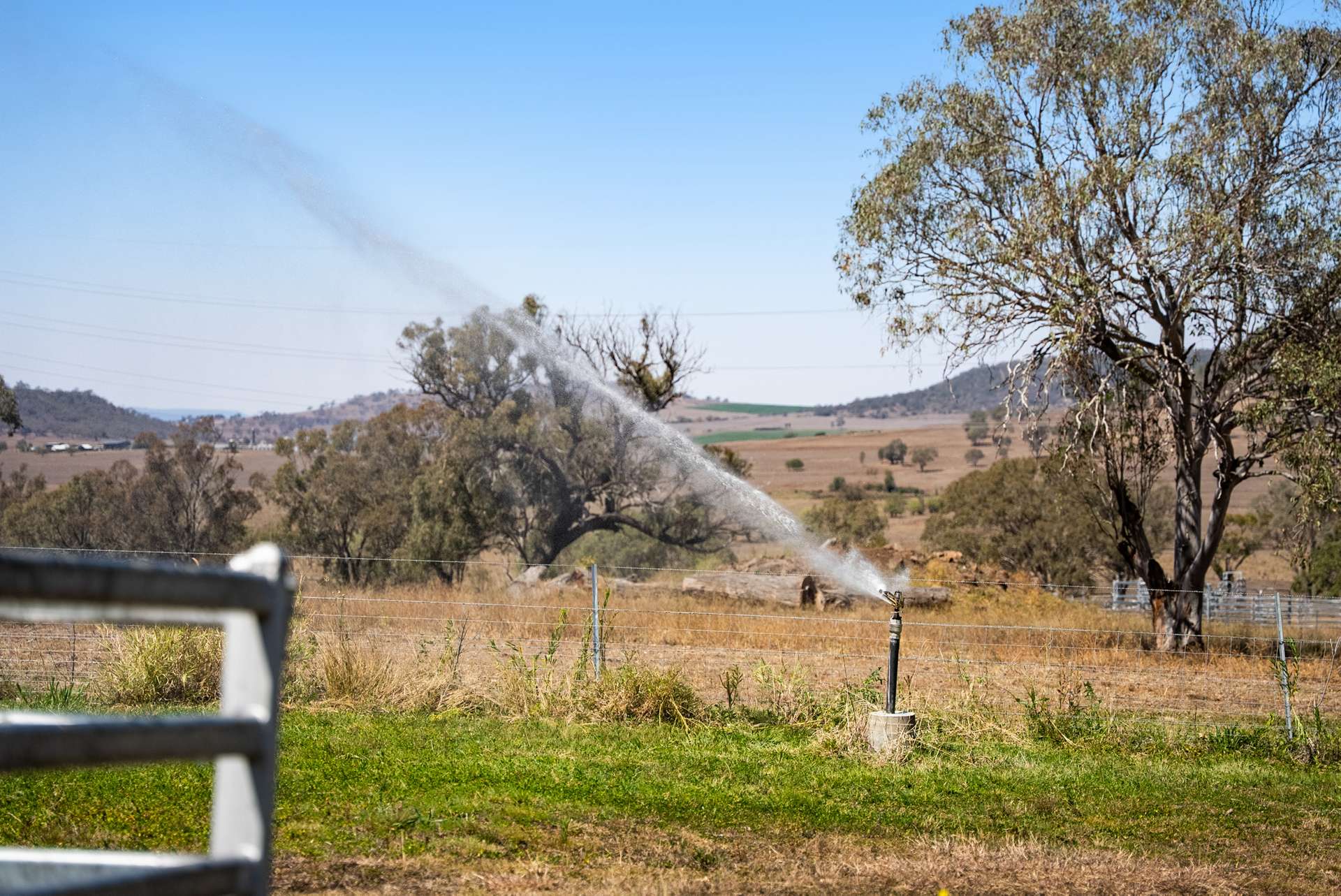 176 McNally Road, Greenmount For Sale by Farmbuy.com - image 33