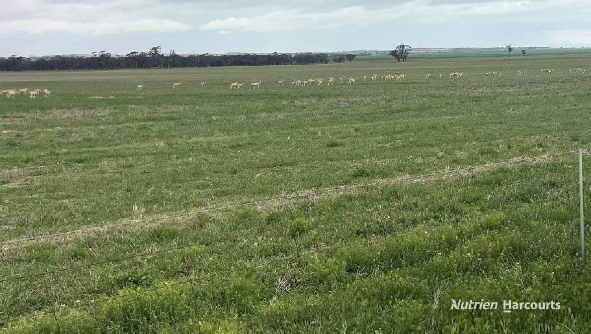 240 Corrigin-Narembeen Road, Corrigin For Sale by Farmbuy.com - image 3