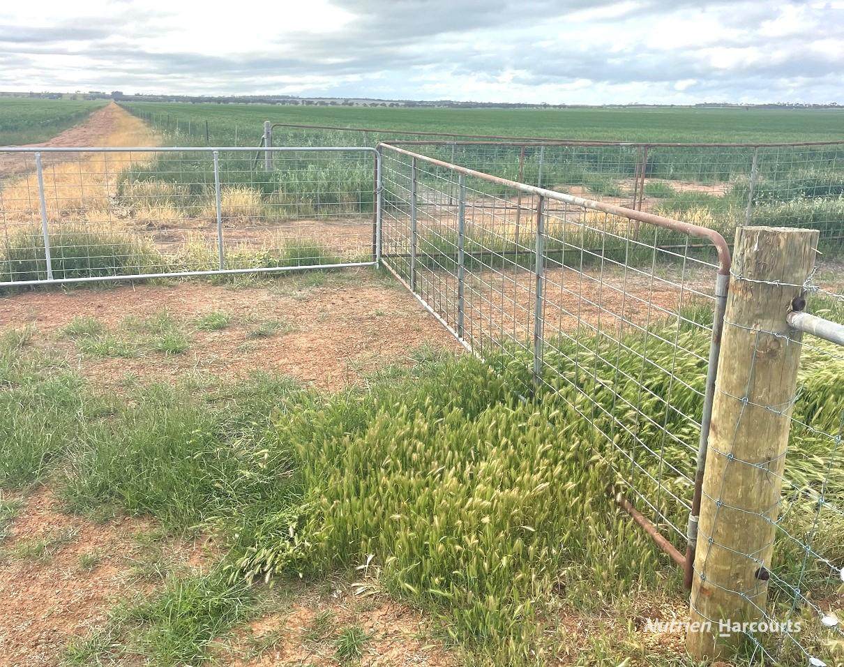 240 Corrigin-Narembeen Road, Corrigin For Sale by Farmbuy.com - image 28