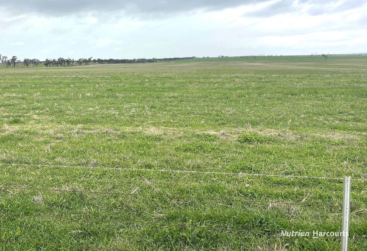 240 Corrigin-Narembeen Road, Corrigin For Sale by Farmbuy.com - image 21