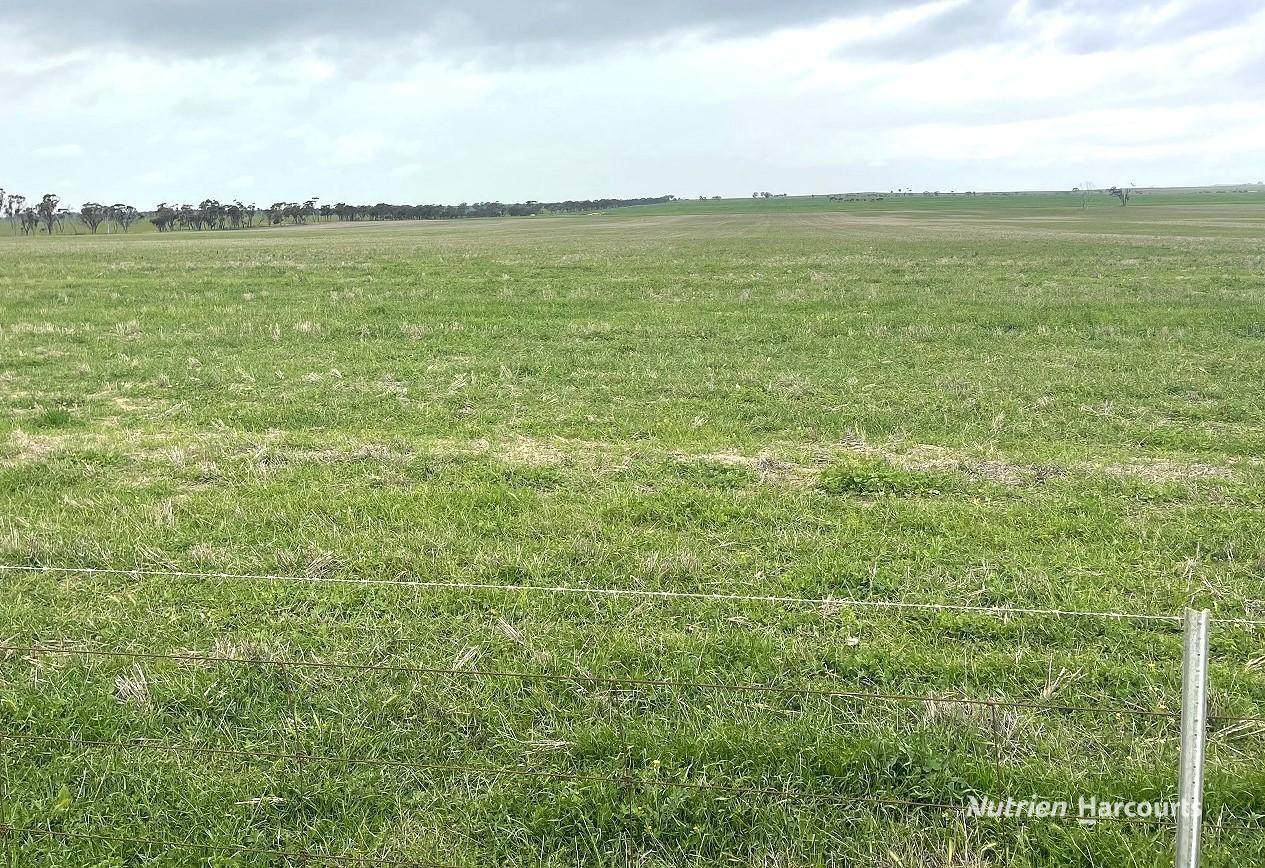 240 Corrigin-Narembeen Road, Corrigin For Sale by Farmbuy.com - image 9