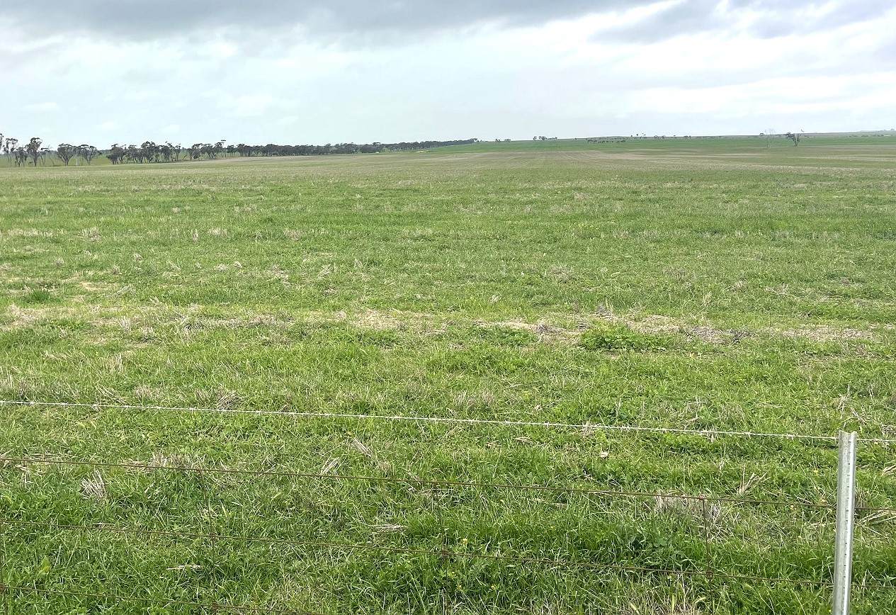 240 Corrigin-Narembeen Road, Corrigin For Sale by Farmbuy.com - image 21