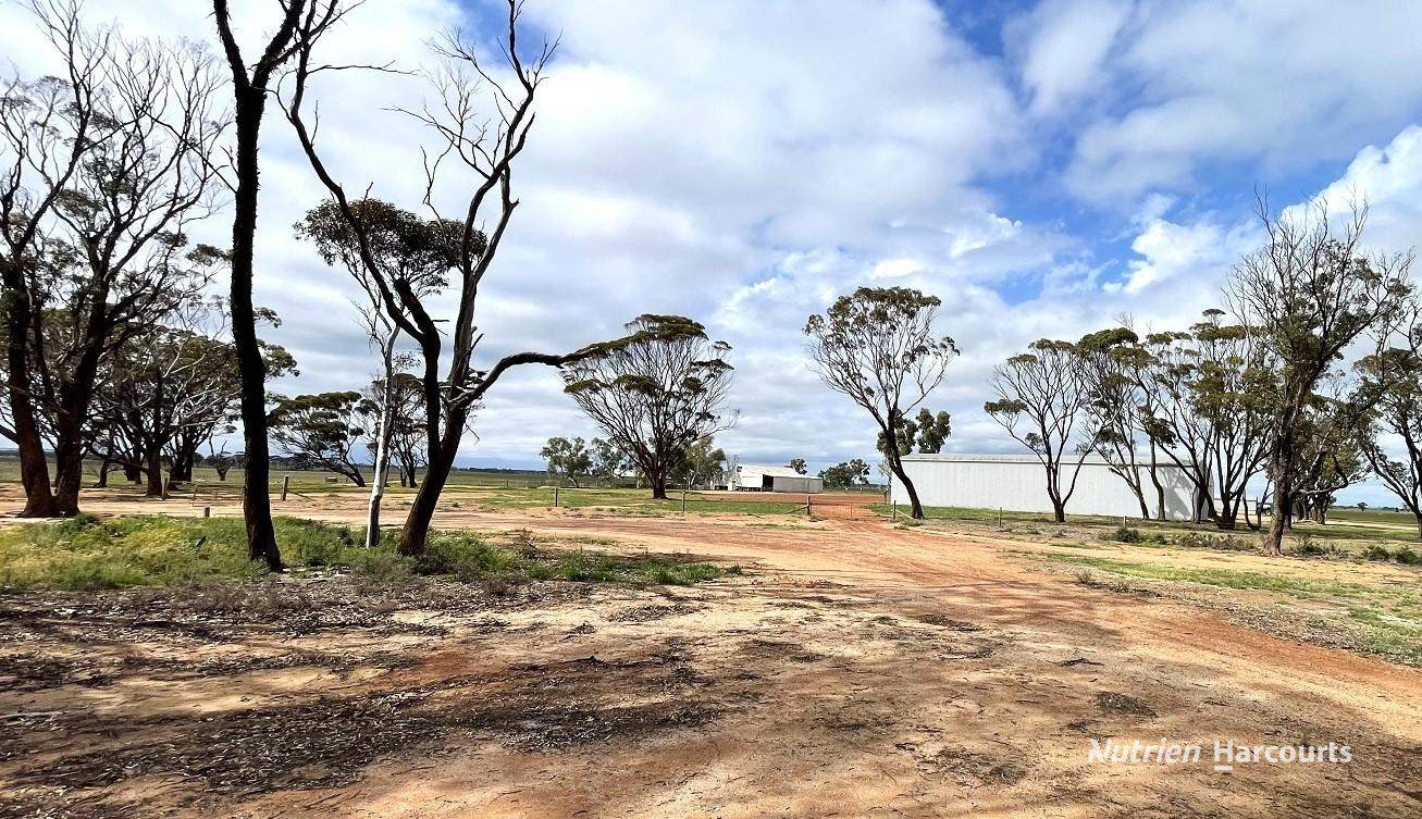 240 Corrigin-Narembeen Road, Corrigin For Sale by Farmbuy.com - image 11