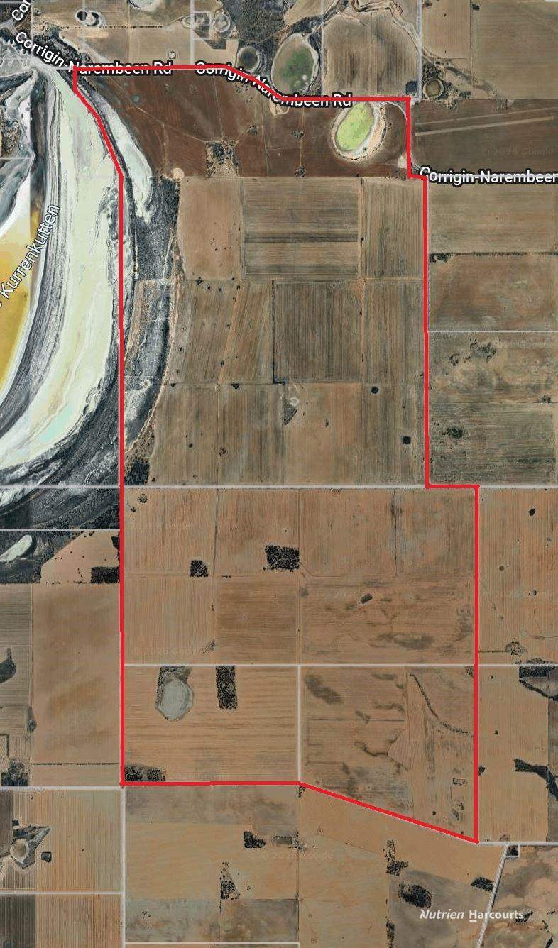 240 Corrigin-Narembeen Road, Corrigin For Sale by Farmbuy.com - image 5