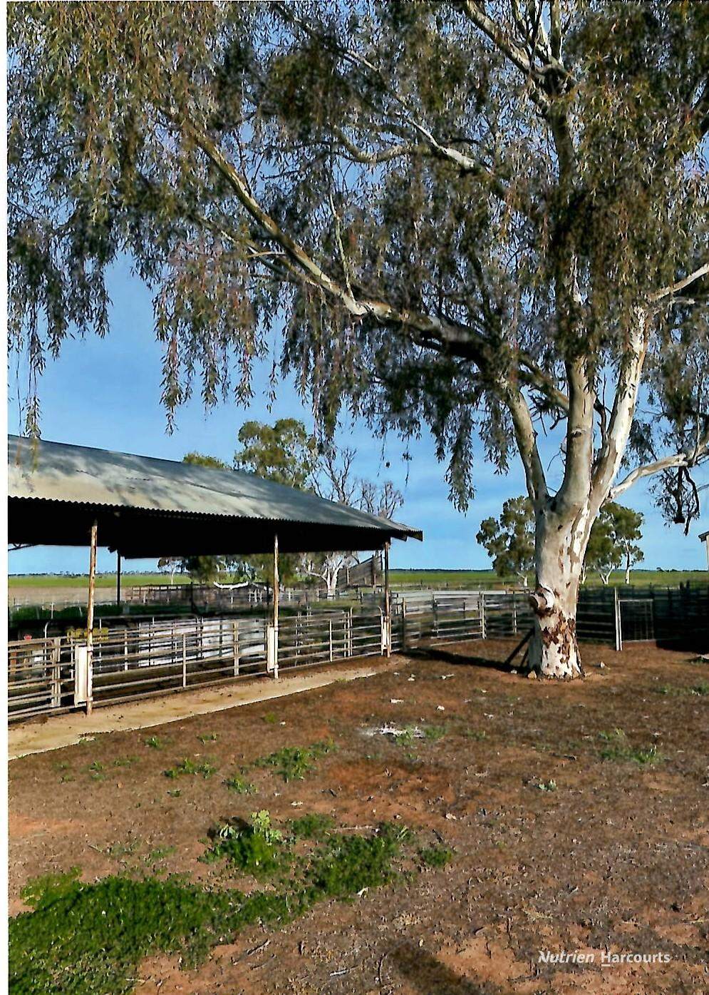 240 Corrigin-Narembeen Road, Corrigin For Sale by Farmbuy.com - image 20