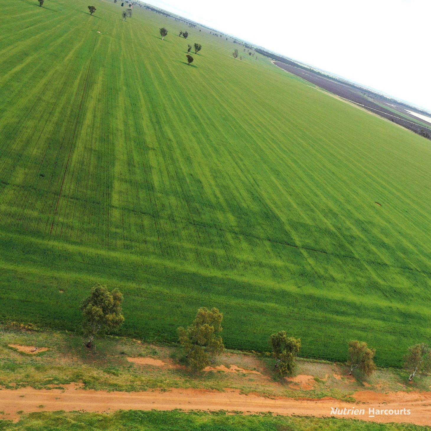 240 Corrigin-Narembeen Road, Corrigin For Sale by Farmbuy.com - image 10